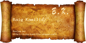Baig Kamilló névjegykártya